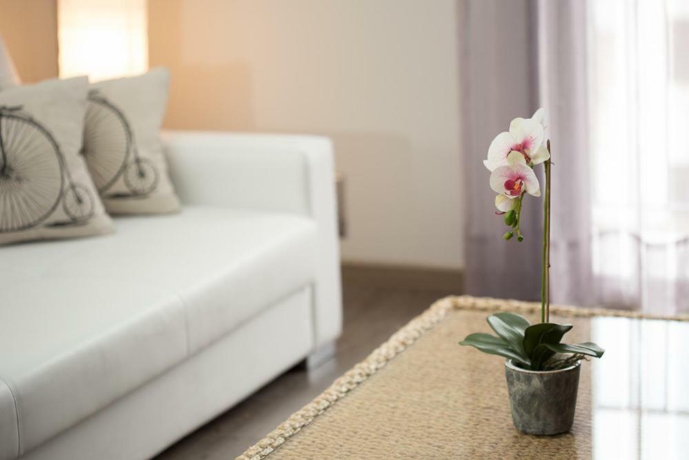 Apartamentos Dacris แคร์เต ภายนอก รูปภาพ